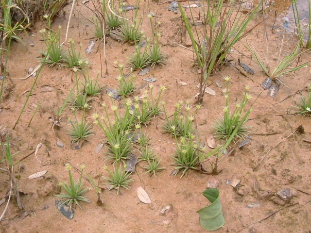 a0067578_93190.jpg