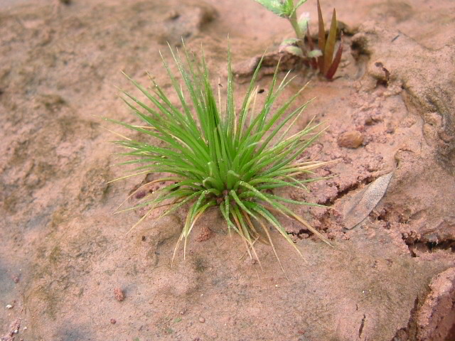 a0067578_9751.jpg