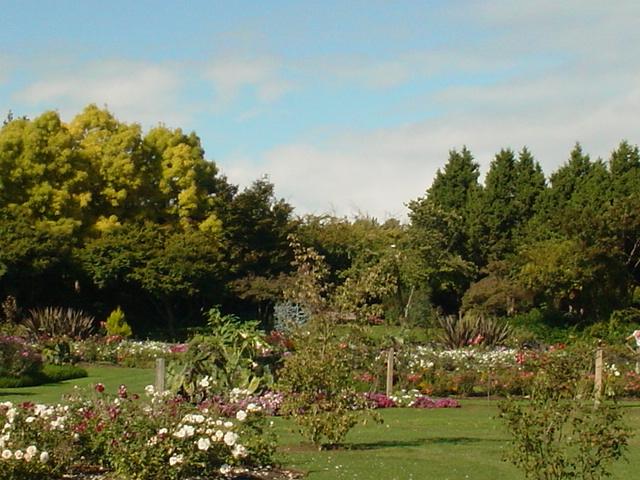 f0129786_92649.jpg