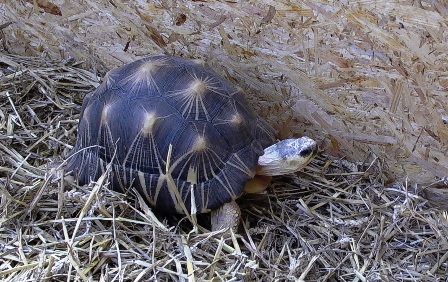 ANIMAL　EXPO。_d0036697_1721441.jpg