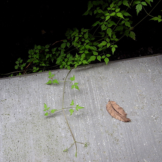 d0129998_0135846.jpg