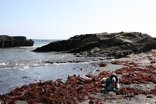 d0143214_2315369.jpg