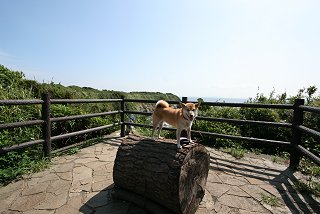 d0143214_2315594.jpg