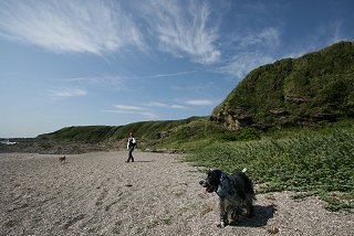 d0143214_23162820.jpg