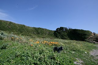 d0143214_2317159.jpg