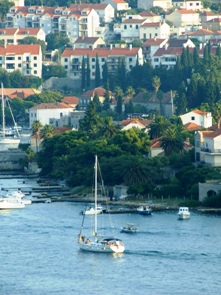 b0083417_047543.jpg