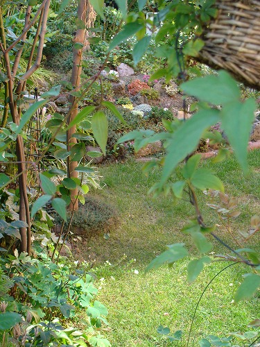 f0170524_1424485.jpg
