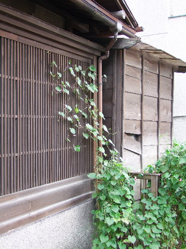 「根岸散歩 いろんな風景」_a0000029_114794.jpg