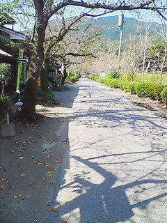 c0127029_10332337.jpg