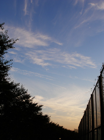 e0068732_20597100.jpg