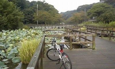 f0156033_22502191.jpg