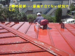 屋根塗装・・・最終日_f0031037_21563581.jpg