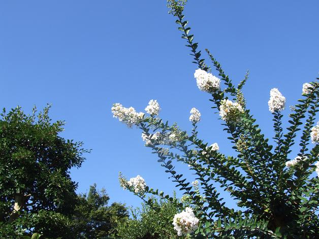 b0089338_2541546.jpg
