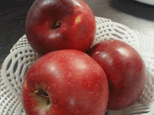 d0087639_2385753.gif