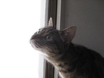 e0113040_2122780.jpg