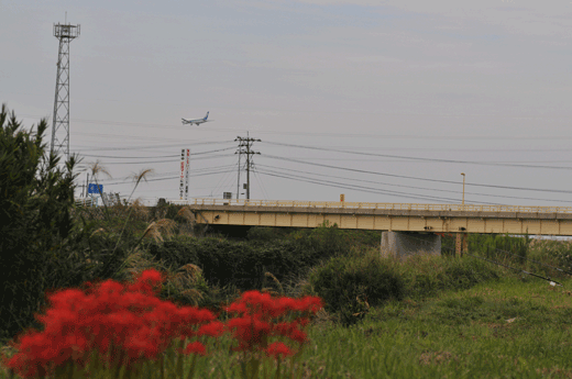 c0093046_6373419.gif