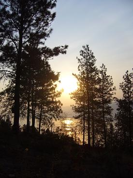 f0041447_954345.jpg