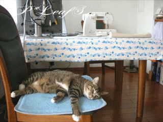 c0176651_13314544.gif
