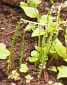 e0033751_20432275.jpg