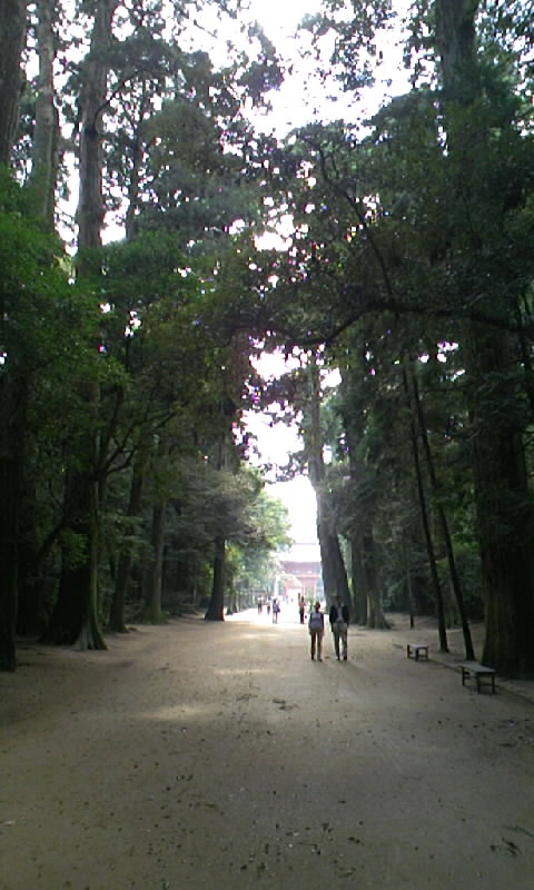 鹿島神宮で凶_d0082655_16305421.jpg