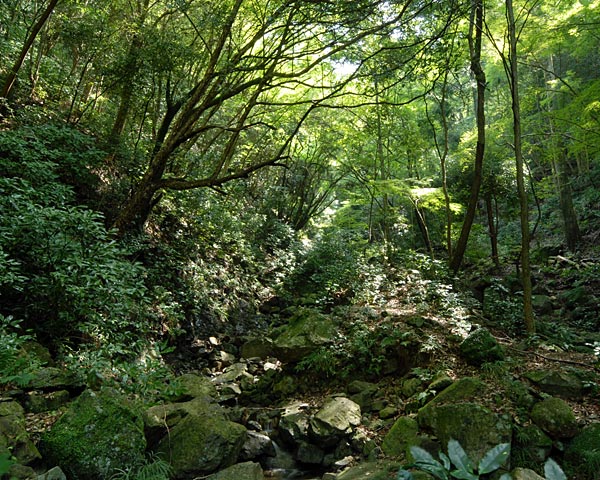 e0035757_2302336.jpg