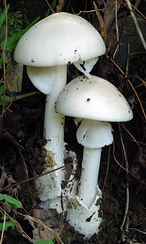 e0035757_230352.jpg