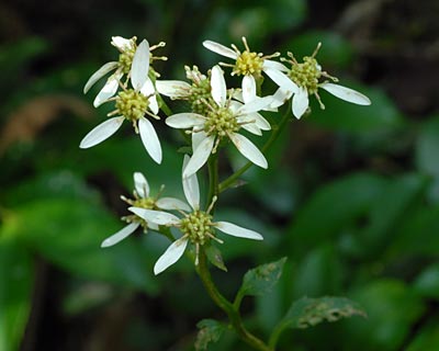 e0035757_2325511.jpg