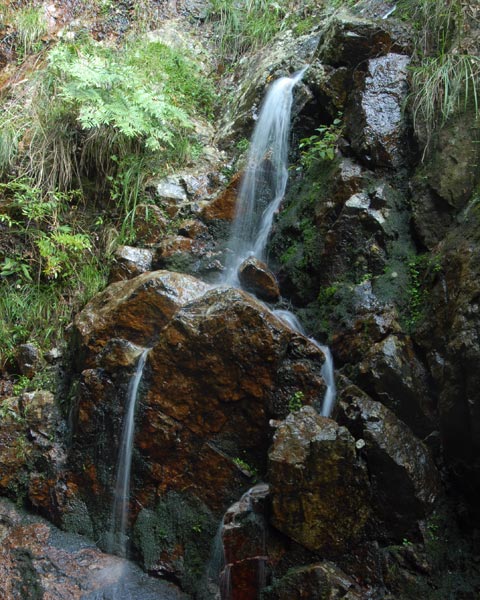 e0035757_2342324.jpg