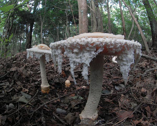 e0035757_234629.jpg