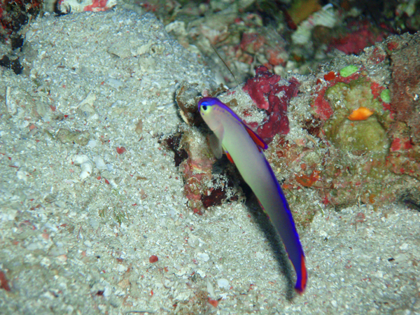 d0113459_7501815.jpg