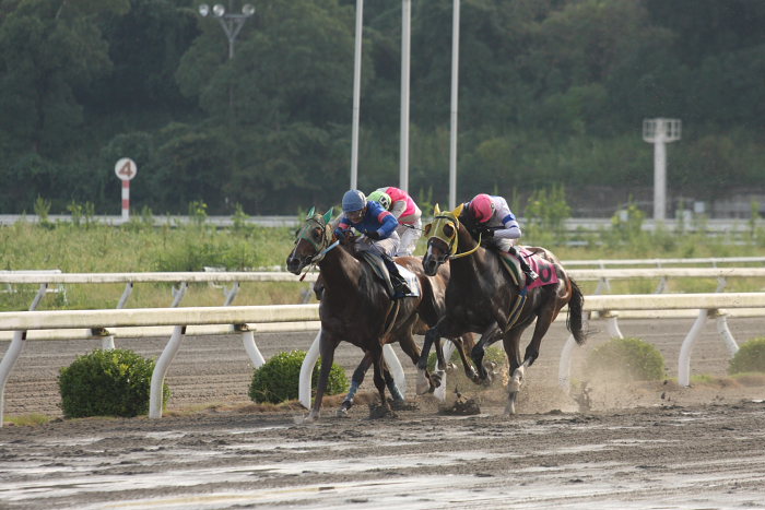 2008年9月21日（日） 高知競馬 8R_a0077663_18404043.jpg