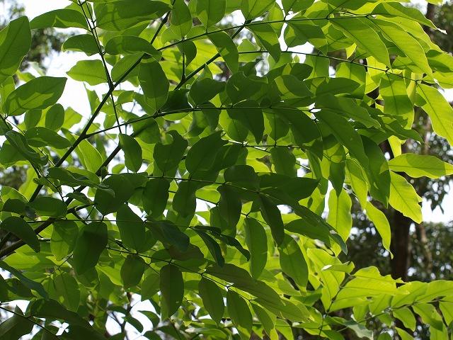 b0135573_19141981.jpg