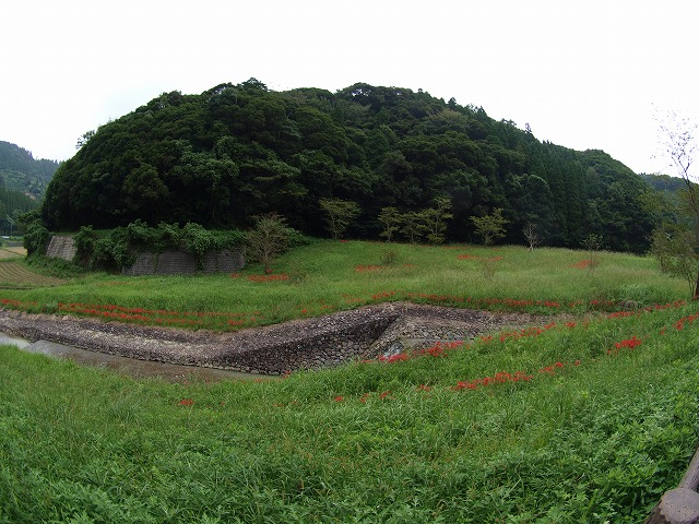 b0135573_19143794.jpg