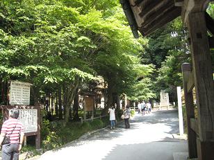 c0154876_17383171.jpg