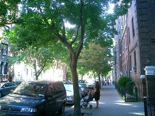 a0027277_13553323.jpg