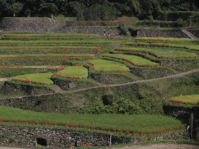 c0152779_1181789.jpg