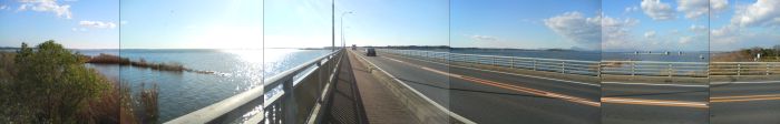e0105485_59399.jpg