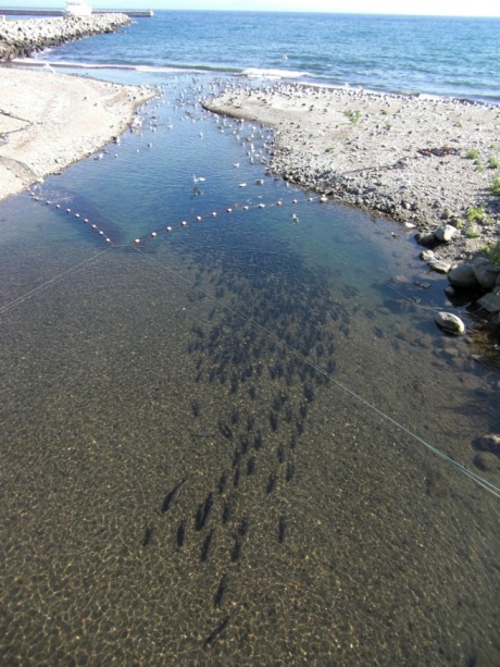世界自然遺産_d0063290_23542110.jpg