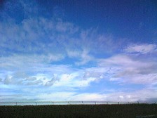 a0107193_1143551.jpg