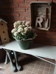 c0129702_22203983.gif