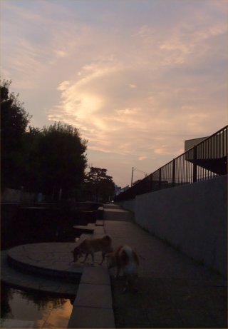 d0143214_22154110.jpg