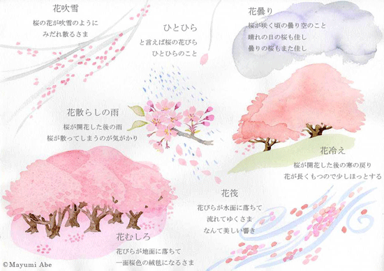 桜づくし 庭 千草 桜づくし 庭 千草