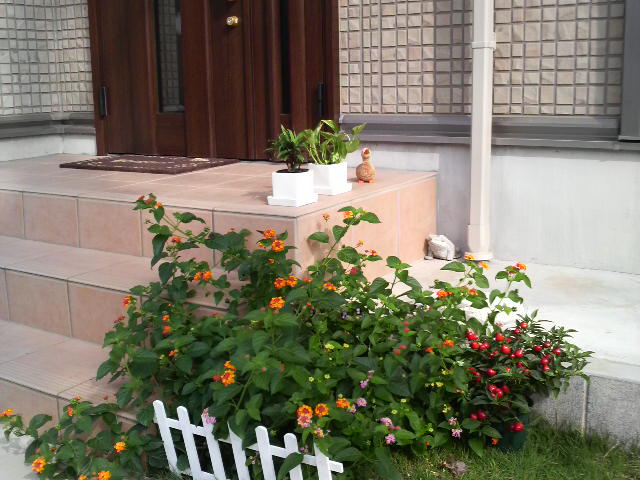 f0145318_2258983.jpg