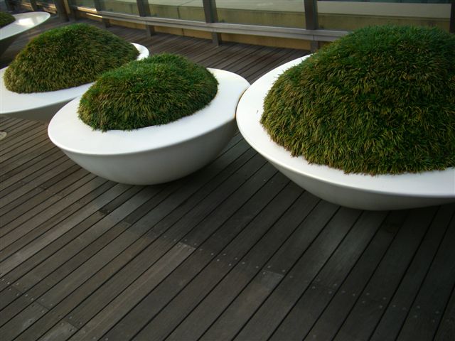 f0003919_10362287.jpg
