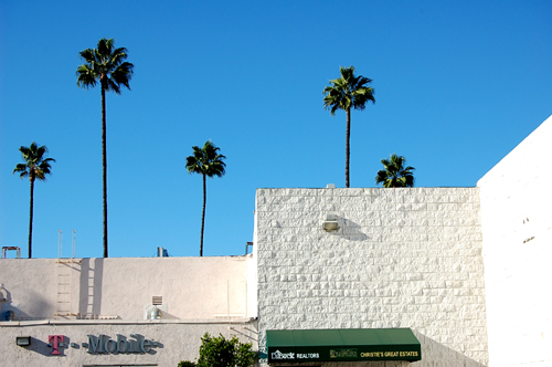 カリフォルニアの青い空・・・・・そして　友達の笑顔！_f0047623_1631485.jpg