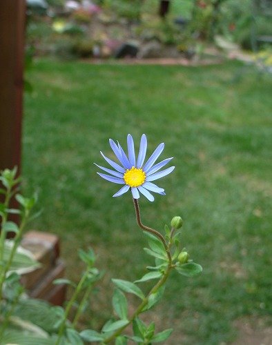 f0170524_11563040.jpg