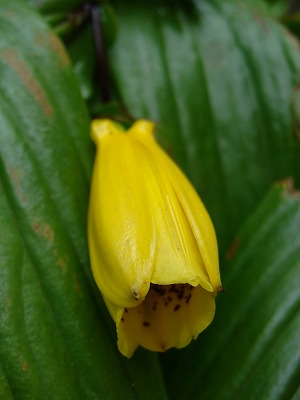 f0170524_1282315.jpg