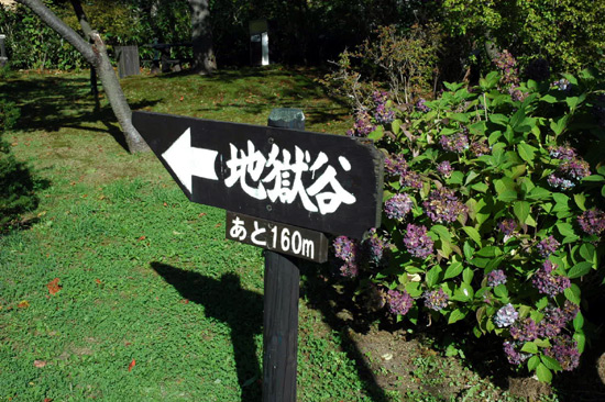 e0037129_19242878.jpg