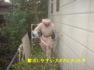 植木伐採 & 修理作業_f0031037_2225385.jpg