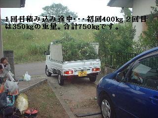植木伐採 & 修理作業_f0031037_2226357.jpg